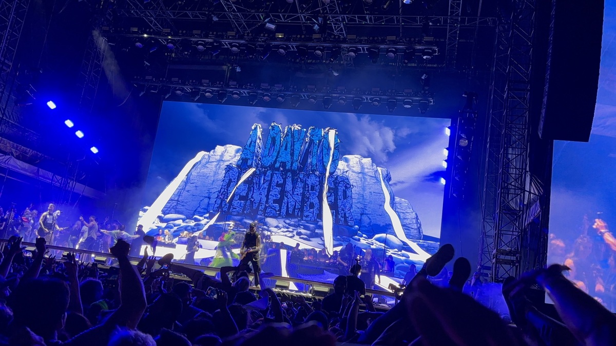sace6 playing live